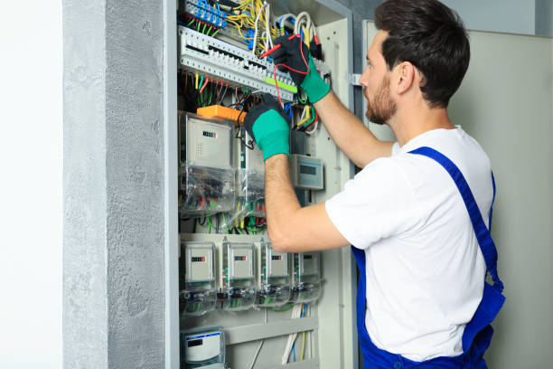 Best Electric Panel Repair  in Manito, IL